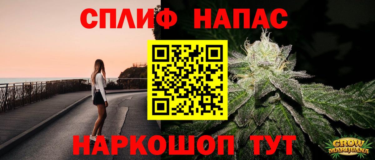 Марихуана сатива Надым